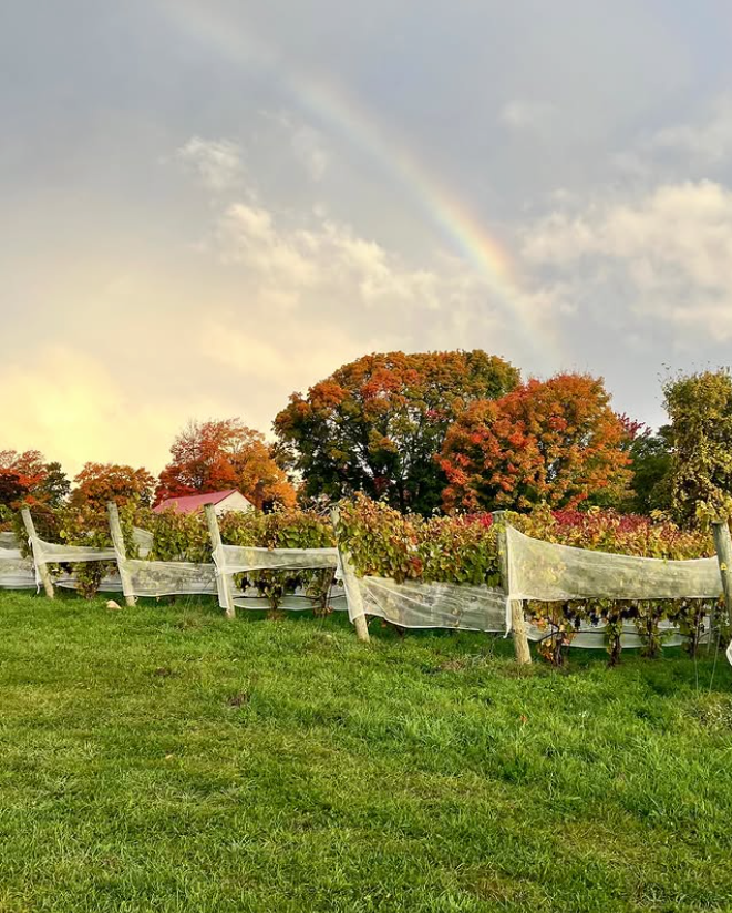 BOS Wine Dinner at the RIND September 30, 2026