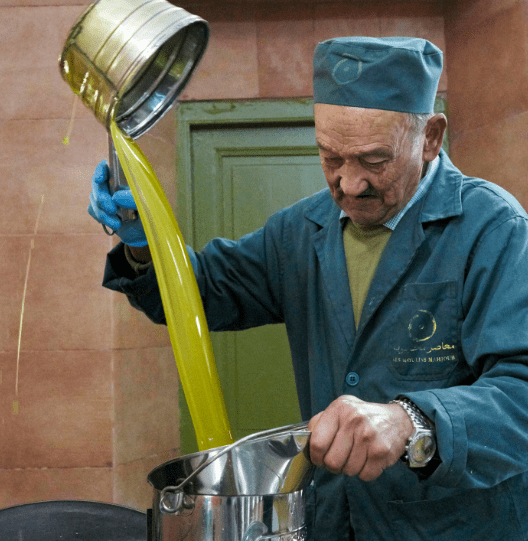 Understanding Extra Virgin: The Truth About Olive Oil