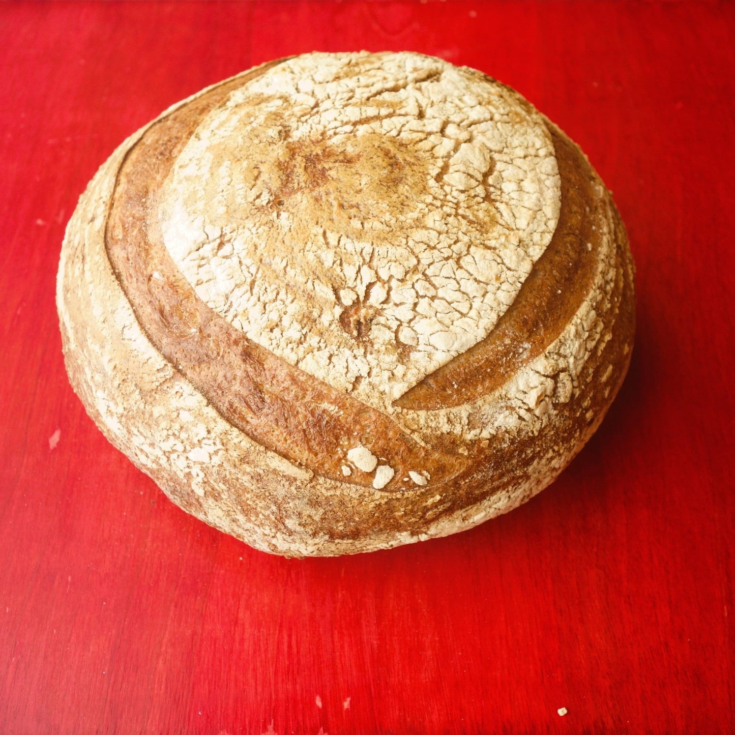 Proof Bakery - Country Loaf - Order By Tuesday for Friday Pickup - Berkley Only - Mongers' Provisions