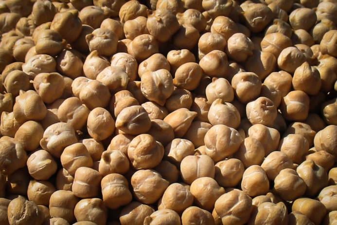 Rancho Gordo - Garbanzo Bean (Chickpea) - Mongers' Provisions